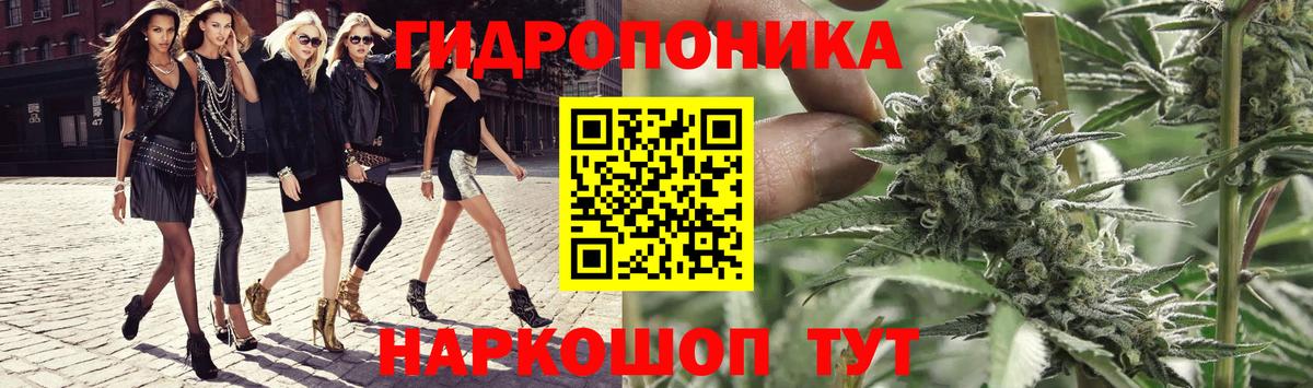 Алексеевка  Каннабис план  Бошки Шишки OG Kush  Вход с VPN  Бошки марихуана гибрид 